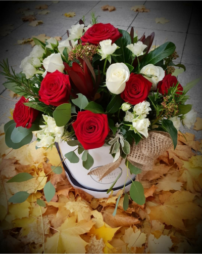 kurant hatbox - the style of the actual hatbox  might be different to one in the picture